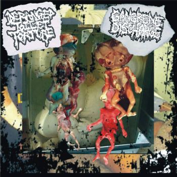 Deranged Toilet Torture / Gangrene Discharge - Split (2023)