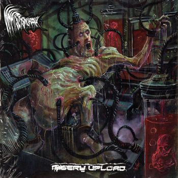 Whatsdysmorphia - Misery Upload (2023)