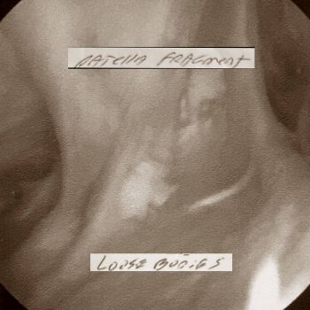 Patella Fragment - Loose Bodies (2023)