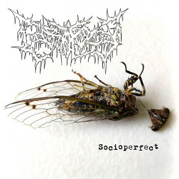 Gortology - Socioperfect (2023)