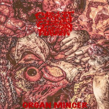 Casket Sized Maggot - Organ Mincer (2023)
