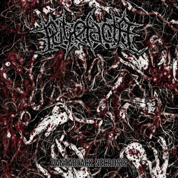 Putrefacta - Vantablack Necrosis (2023)