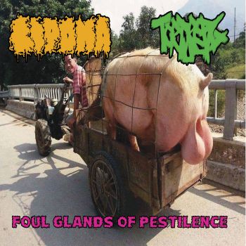 Lipoma / Torture Pig - Foul Glands of Pestilence (2023)