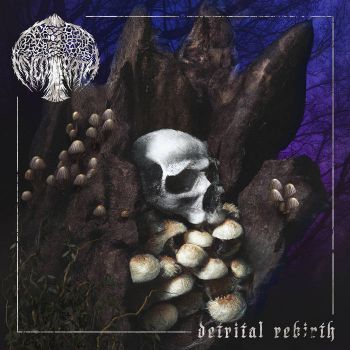 Mycopath - Detrital Rebirth (2023)