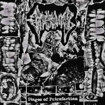 Gorebones - Stages of Putrefaction (2023)