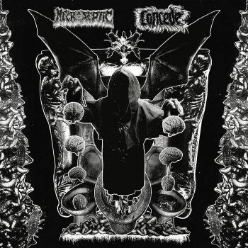 Necroseptic / Concede - Split (2023)