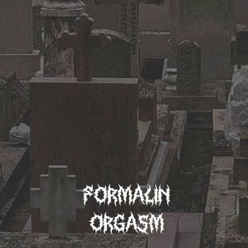 Formalin Orgasm - Formalin Orgasm (2023)