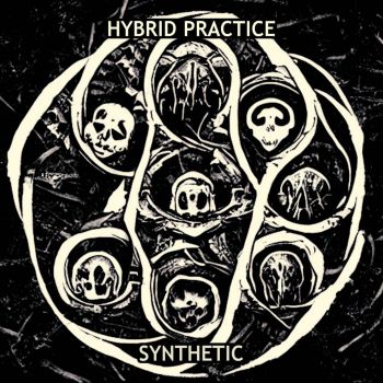 Hybrid Practice - Synthetic (2023)