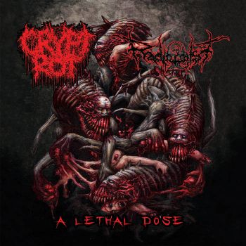 Crypt Rot / Radiologist - A Lethal Dose (2024)