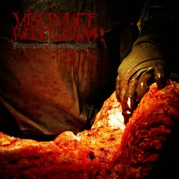 Visum et Repertum - Engorging the Pathogenetic (2024)