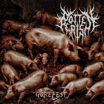 RottenPerish - Gorefest (2024)