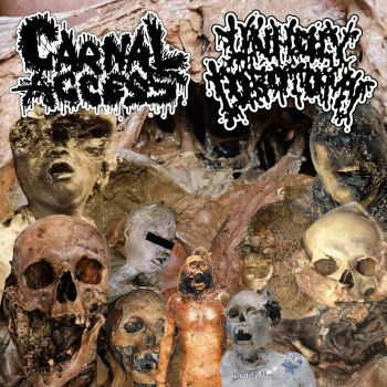 Carnal Access / Unholy Lobotomy - Split (2024)