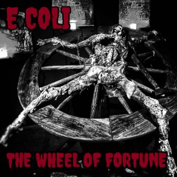 E Coli - The Wheel of Fortune (2024)