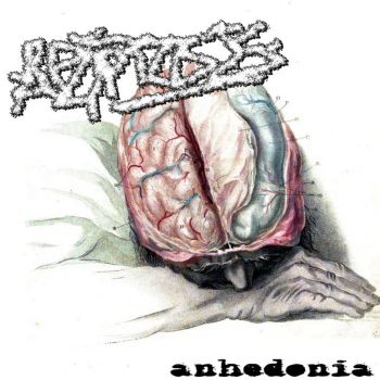 Apoptosis - Anhedonia (2024)