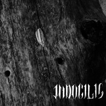 Indocilis - Poison the Hive (2024)