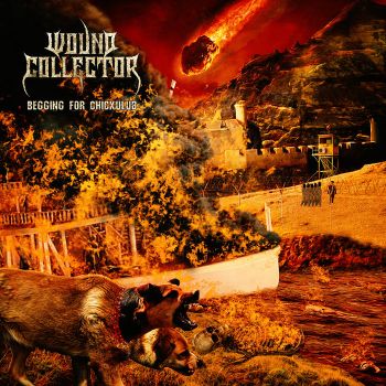 Wound Collector - Begging for Chicxulub (2024)