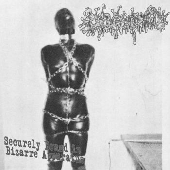 Cockimmolated - Securely Bound in Bizarre Apparatus (2024)