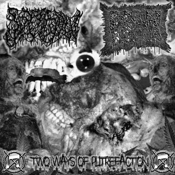 Brain Decor / Spitsaw - Two Ways of Putrefaction (2024)