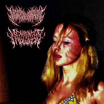 Hemzeodysnexia / Ventricle Implosion - Never Seen Again (2024)