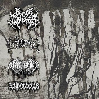 Bloodcrusher / Rezerected / Herrementari / Echinococcus - Split (2024)