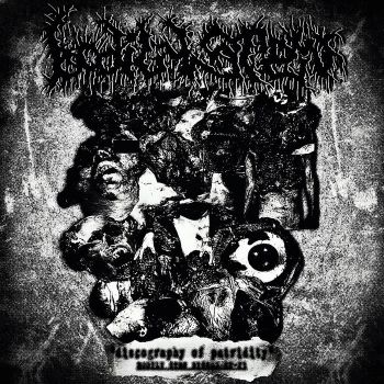 Bodily Stew - Discography of Putridity (2022-2023) (2024)