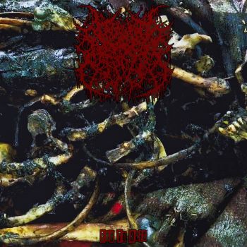 Human Flesh Rot - Fed to Rats (2024)