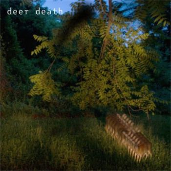 deer death - fractured (2024)