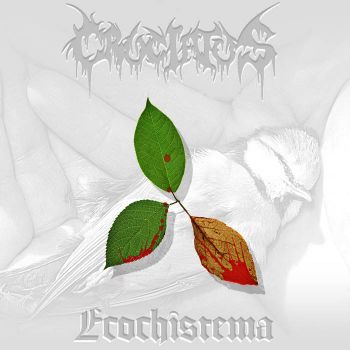 Cruciatus - ECOchisTEMA (2024)