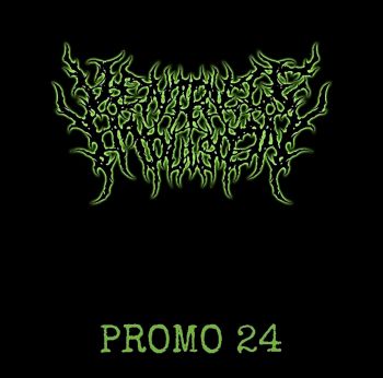 Ventricle Implosion - Promo 24 (2024)