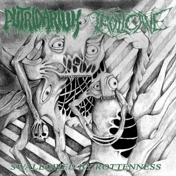 Putridarium / Trollcave - Swallowed by Rottenness (2024)