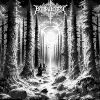 Boreal Forest - Demo 2024 (2024)