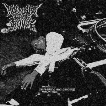 Holocaust Whore House - Screaming & Gasping (2024)