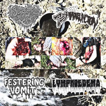 Festering Vomit / Agalmatophilia Mannequin / Anime Body Malfunction / Lymphoedema - Split (2024)