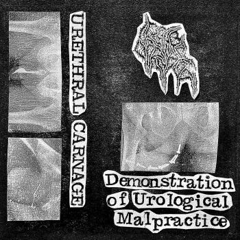 Urethral Carnage - Demonstration of Urological Malpractice (2024)