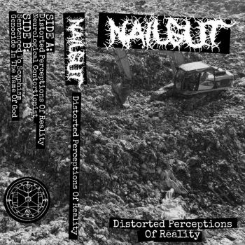 Nailgut - Distorted Perceptions of Reality (2024)