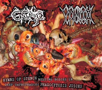 Gore / Vomito - Hymns of Stench Melting Bodies in Deep Saprophagous Phagocytosis Juices (2024)