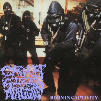 Casket Sized Maggot - Born in Captivity (2024)