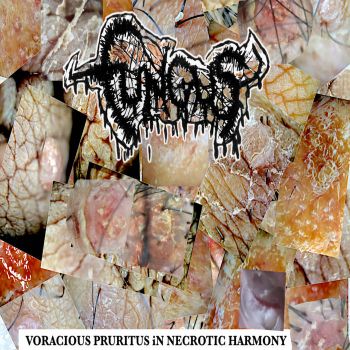 Fungus - Voracious Pruritus in Necrotic Harmony (2024)