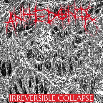 Anhedonia - Irreversible Collapse (2024)