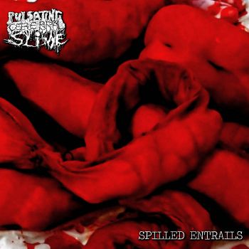 Pulsating Cerebral Slime - Spilled Entrails (2024)