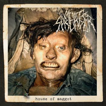 Meat Spreader / Putrefaction Sets In - House of Maggot / The Extent of the Putrescent Crawling Swarm's Digestion (2025)