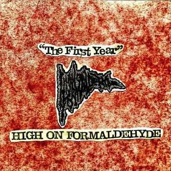 High on Formaldehyde - The First Year (2025)