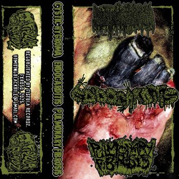 Cystic Hygroma / Endocarditis / Pulmonary Fibrosis - Split (2025)