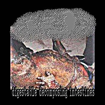 PxSxLx - Digestable Decomposing Intestines (2025)