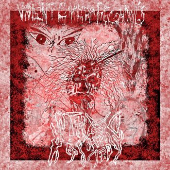 Violent Camera Recordings / Stabbed Repeatedly - Split (2025)