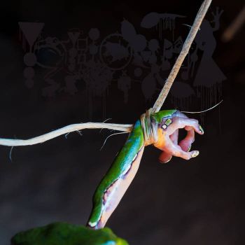 Phyllomedusa - The Dark Side of the Amazon (2025)