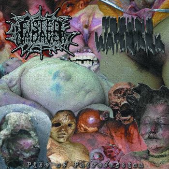 Fisted Cadaver / Techno Waterpark - Pile of Putrefaction (2025)