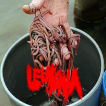 Leukemia - Infested with Blood Worms (2025)