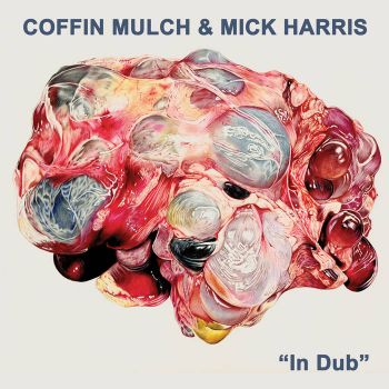 Coffin Mulch & Mick Harris - In Dub (2025)
