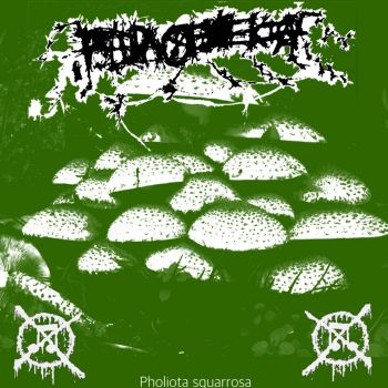 Pseudallescheria - Pholiota Squarrosa (2025)